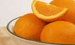 First WA orange exports off to China