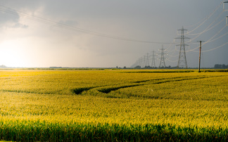 How one of England's largest arable farms is aiming for net zero