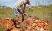  Denis O’Meara discovering pegmatites at Marble Bar in 2016.