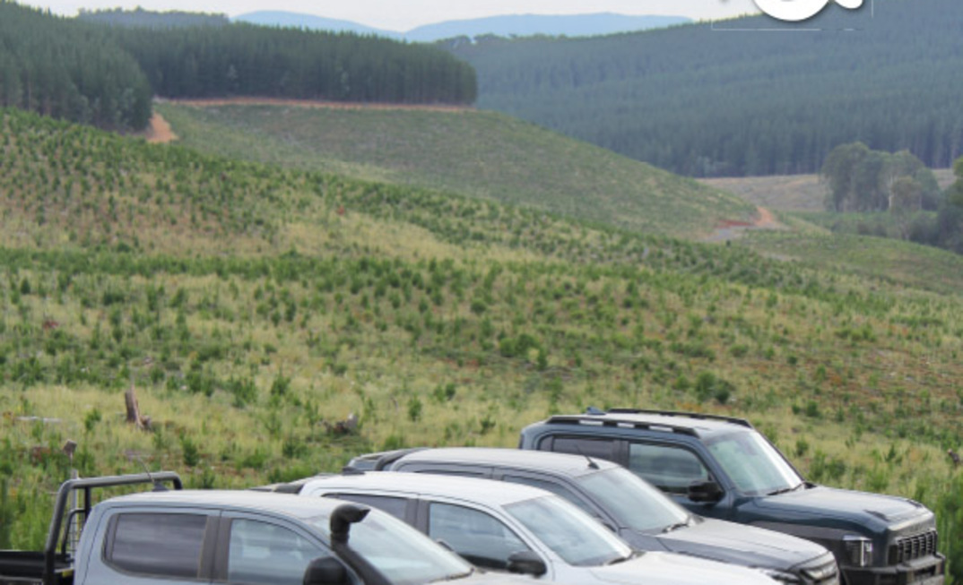 Research Report - March 2026 - Diesels Duke It Out