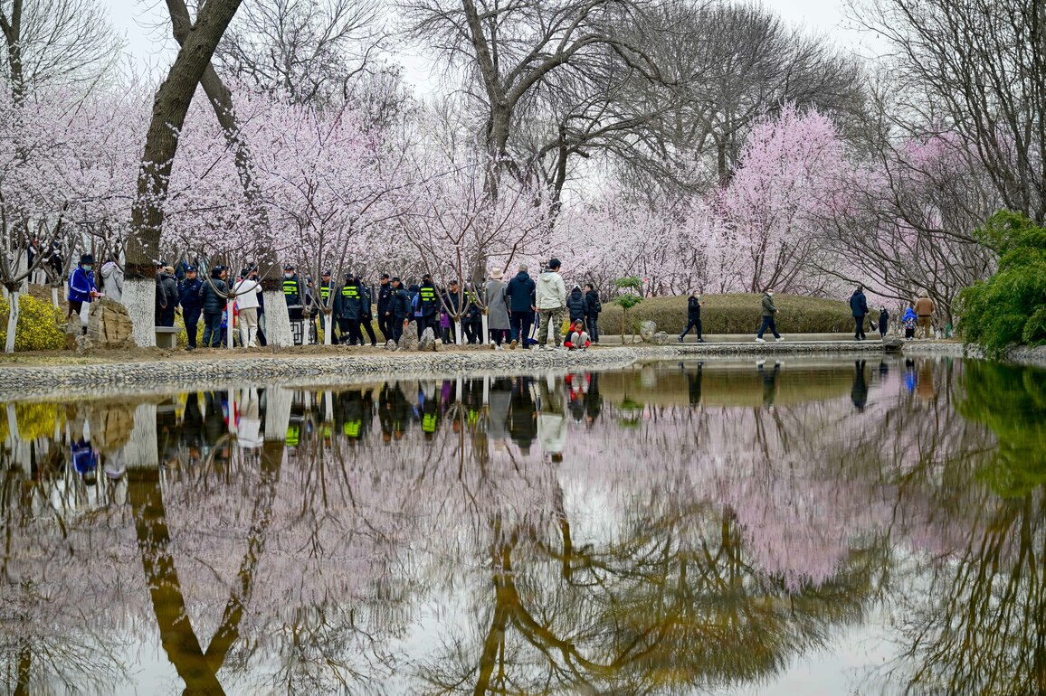 CHINA-TIANJIN-SPRINGTIME CULTURAL FESTIVAL-PEACH BLOSSOM (CN)