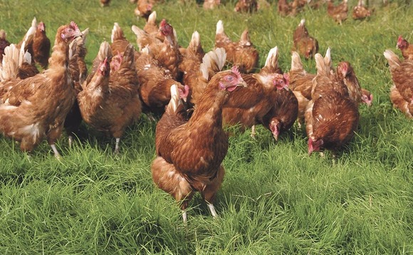 Farmers cautioned after bird flu case confirmed in Scotland