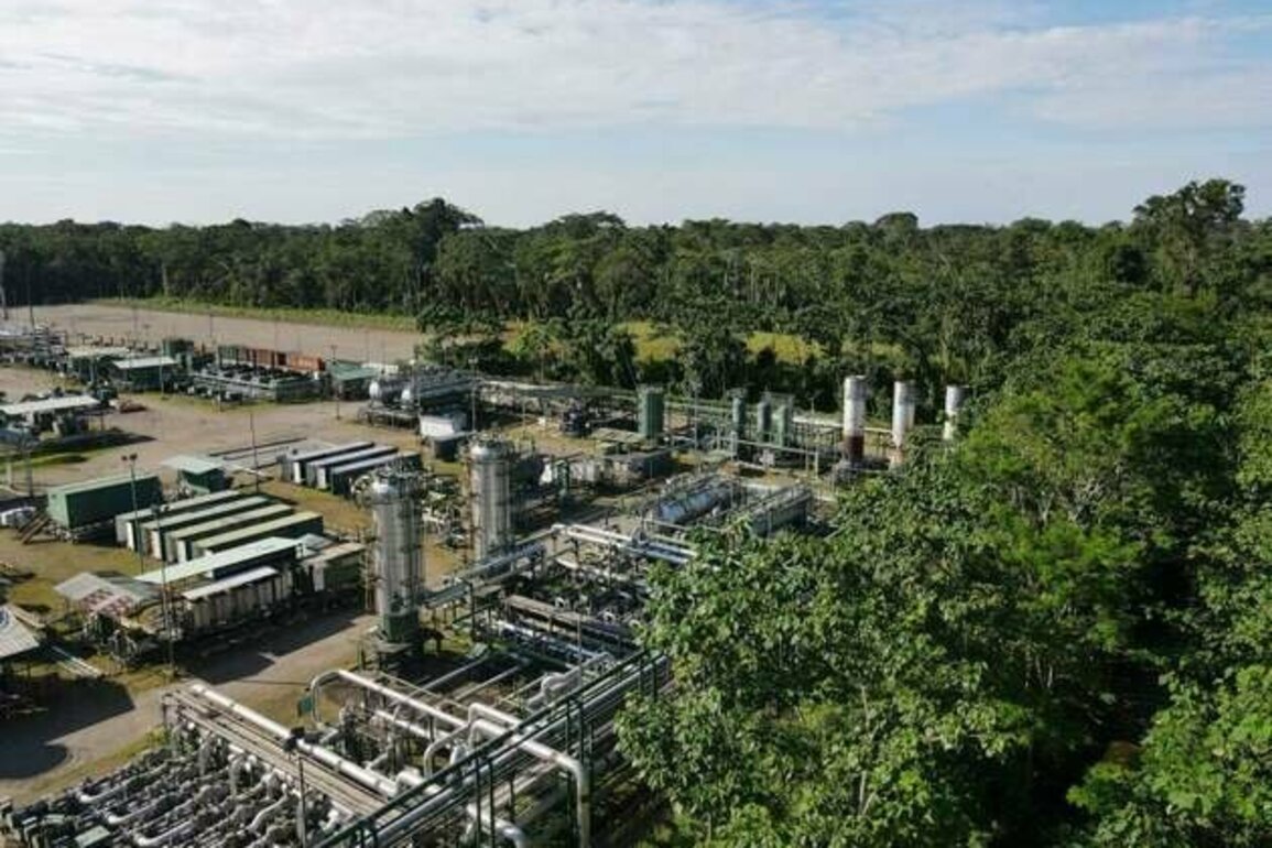 Ecuador: Officials Ignore Rainforest Protection Referendum