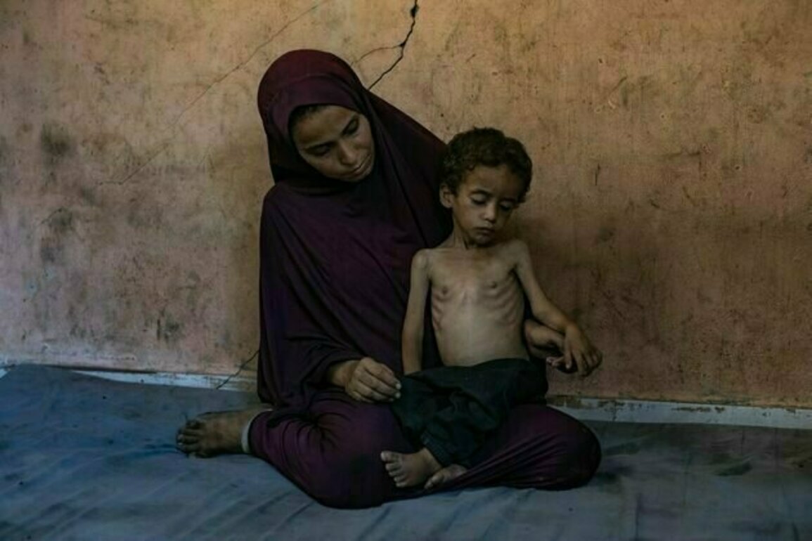 Gaza is starving - how Israel's allies can go beyond words and take meaningful action