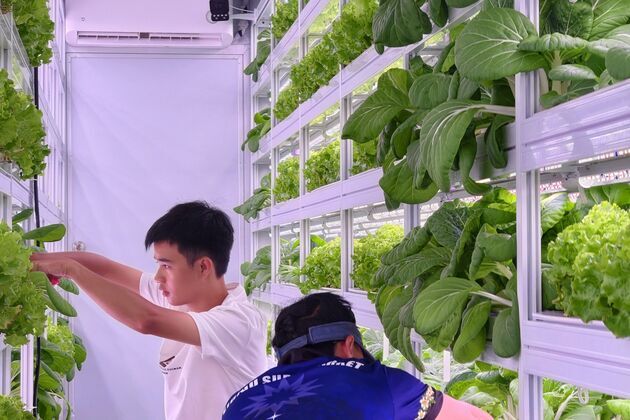 NAURU-CHINA-LIVELIHOOD PROJECTS-BENEFIT