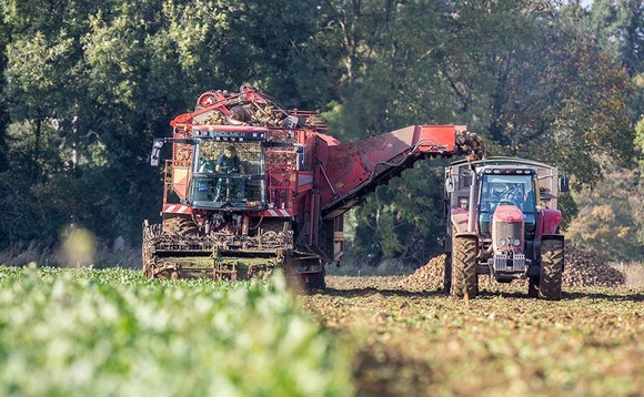 Cash advance to support struggling beet growers