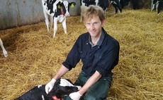M. bovis more widespread than previously thought, according new surveillance programme results