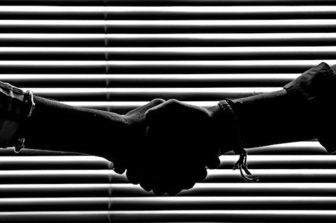 Navigating advertising's trust fault lines - The Media Online