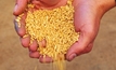 ACCC gives nod to GrainCorp's port transfer