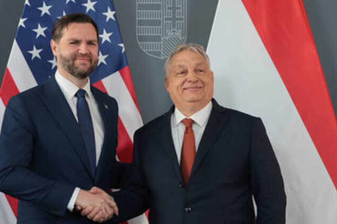 JD Vance slams EU 'interference' and Ukrainian spies in key Hungary visit