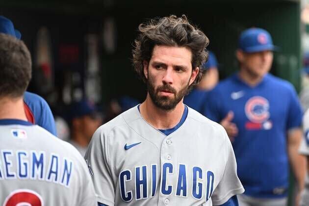 Reports: Cubs SS Dansby Swanson out 4-6 weeks with oblique strain
