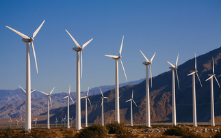 Global Briefing: Green industry groups slam US bill, as Trump guts support for clean tech