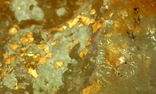  Visible gold from Iceni's work at 14 Mile