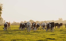 Cost of living crisis to hit farm incomes