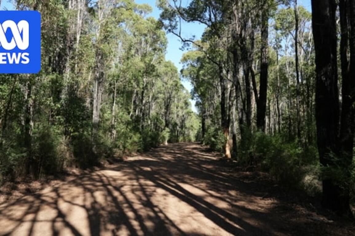 Teen dies after 4WD carrying six people rolls in Hoffman, near Harvey, in WA's South-West