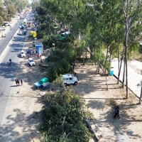 NGT orders halt on tree felling after massive tree cutting for Bhopal's Ayodhya bypass road project