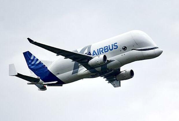 Airbus to charter popular Beluga XL 'whale plane' for cargo