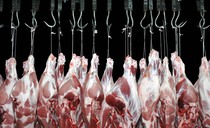 Four in 10 small abattoirs 'likely to shut' without small abattoir discount