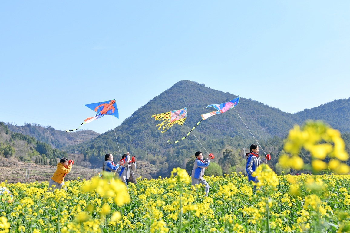 #CHINA-SPRING-BLOSSOMS (CN)
