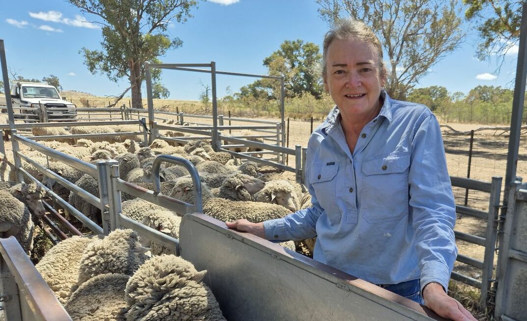 Victorian-based livestock consultant Lisa Warn said the PDS project gave producers confidence and a clear path forward, to switch over to a non-mulesed flock. 