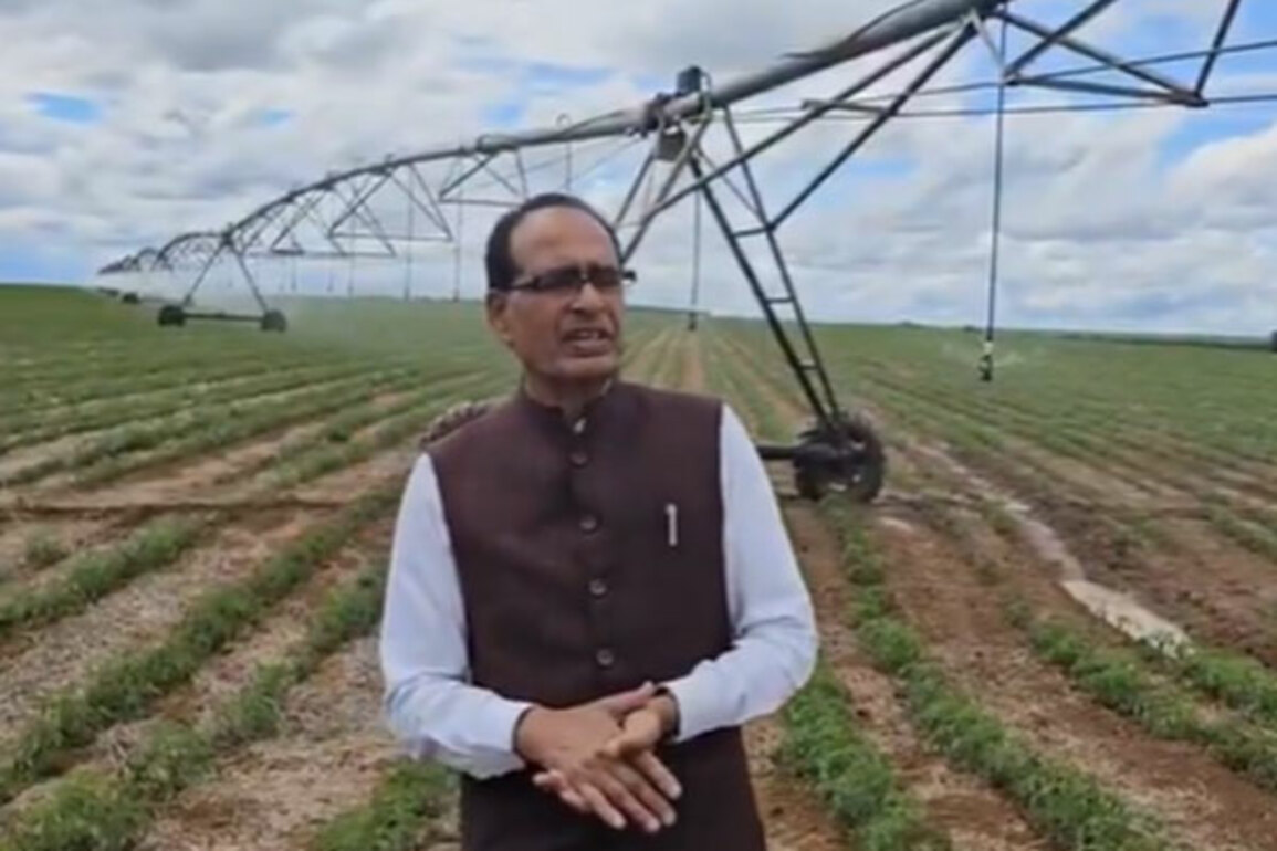 Union Minister Shivraj Singh Chouhan observes agricultural techniques, farming practices during Brazil visit
