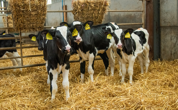 Rearing replacement heifers represents 20% of the total production costs within a dairy enterprise. 