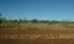 Alliance teams up at Borroloola