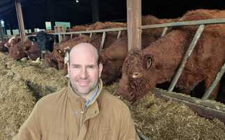 Partner Insight: Reducing feed costs by up to 50%