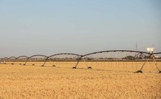 Droughts and costs hitting Spanish farms