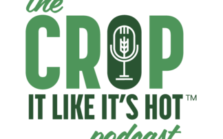 Crop it Like it's Hot: How a variety becomes 'recommended' and variety selection tips