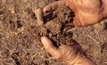 Soil biology key to farm profitability