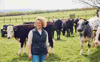 Lidl GB fences off £1.5bn funding for British beef over next five years
