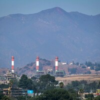 Susan Shelleyal regulators harm the poor
