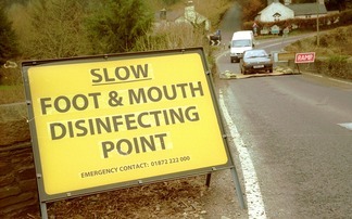 UK foot-and-mouth disease - 25 years on: "It was a cruel and catastrophic loss still felt a generation on"