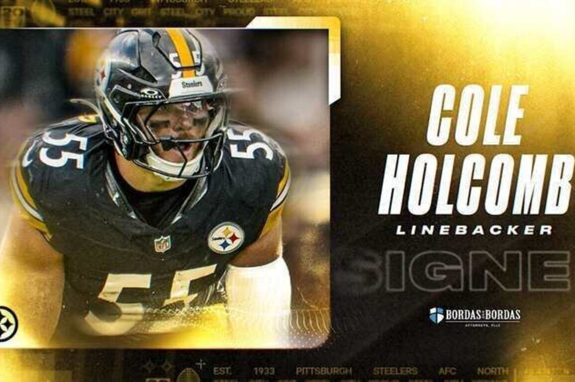Steelers sign Holcomb
