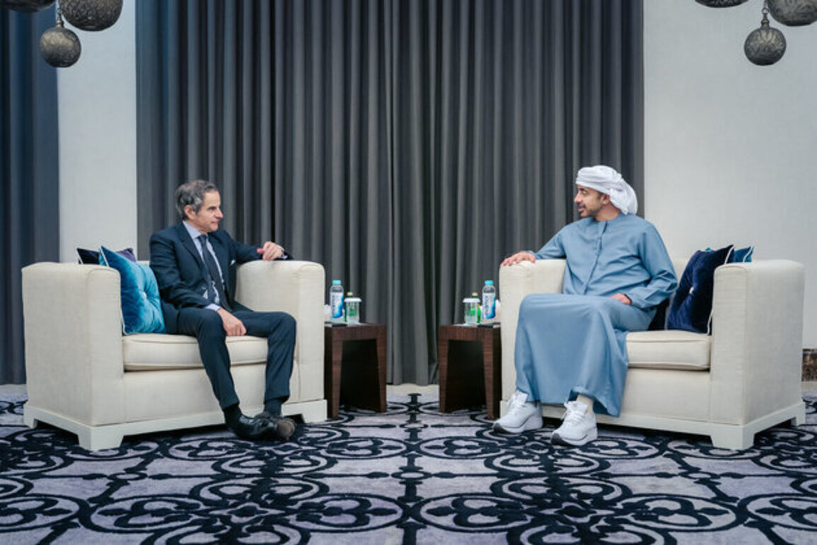 Abdullah bin Zayed receives IAEA Director General