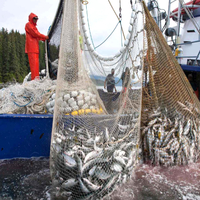 Trump allows commercial fishing in New England marine monument