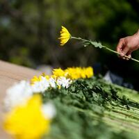 China's Tomb-sweeping Day blends tech, eco-tributes
