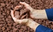 Arrow lands 'remarkable' maiden bauxite resource