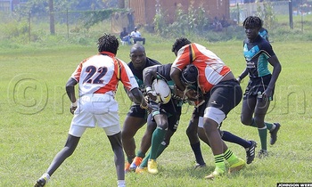 Rugby 350x210