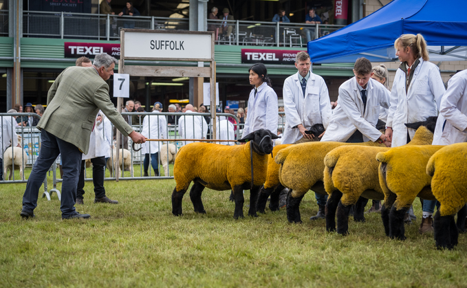 Dutch Spotted takes the Royal Welsh Inter-breed top spot