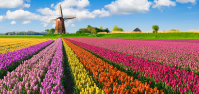 Redefining diversification in a concentrated market