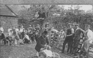 FG 180: The historic art of sheep gathering and shearing