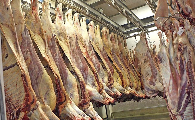 Argentina bans beef exports