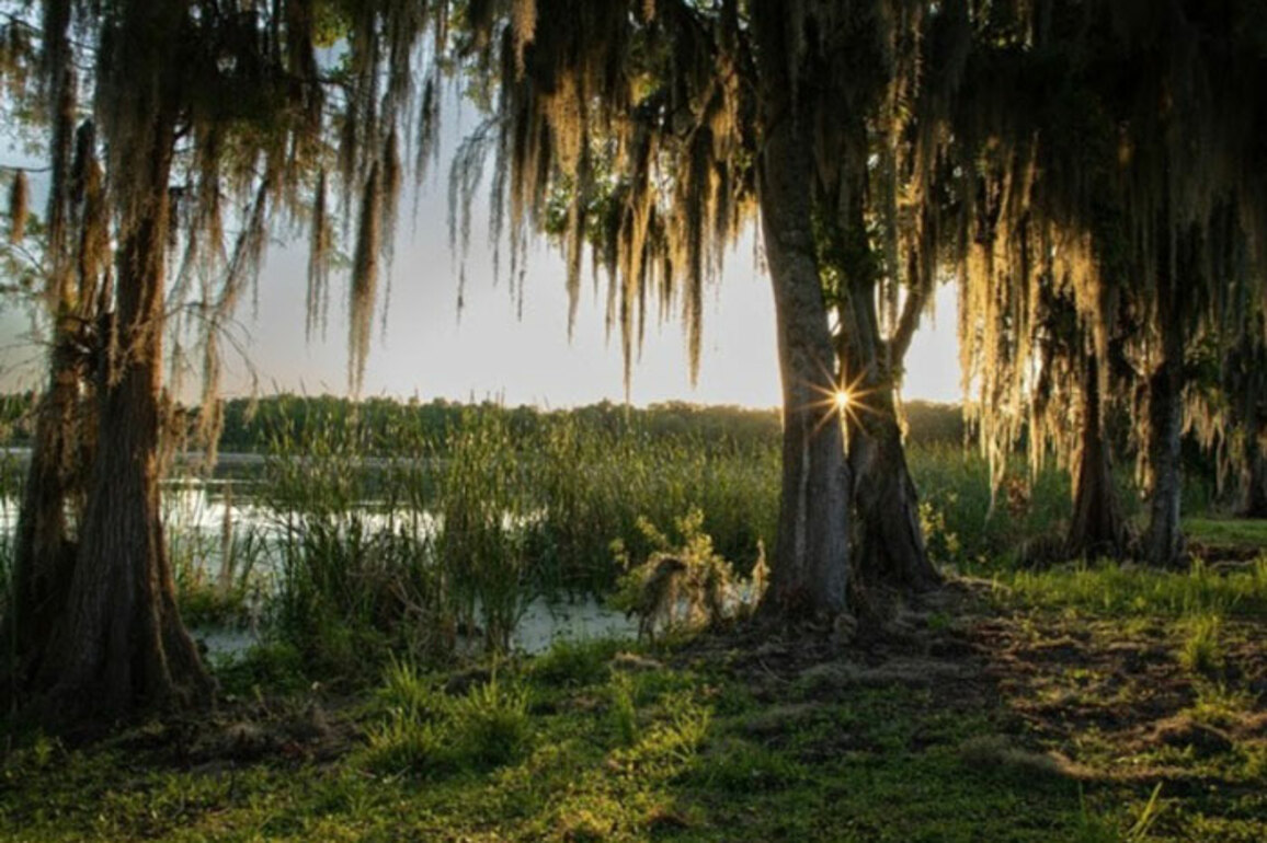 Florida State Parks Named Finalist for Prestigious National Gold Medal Award