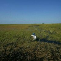 National parks are key conservation areas for wildlife and natural resources