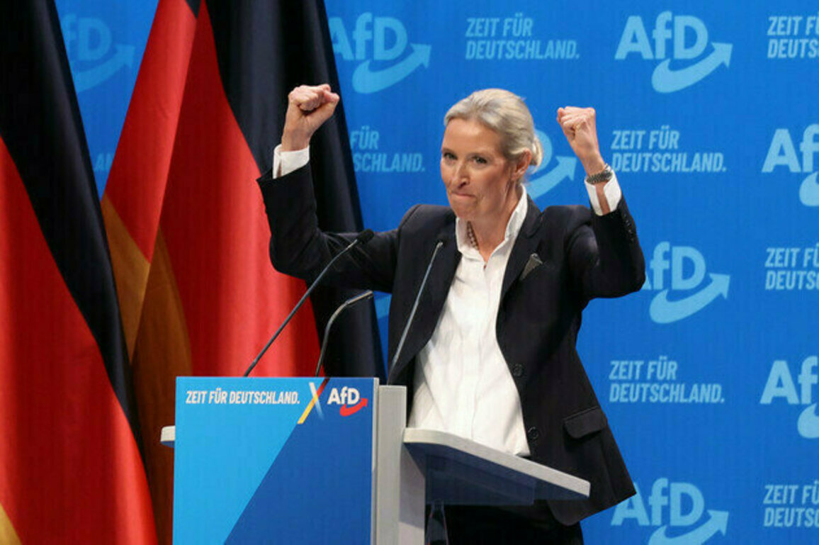 AfD tops German opinion poll for first time