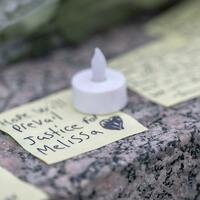 Burcum- Minnesota assassination fuels conspiracy theories and trolls