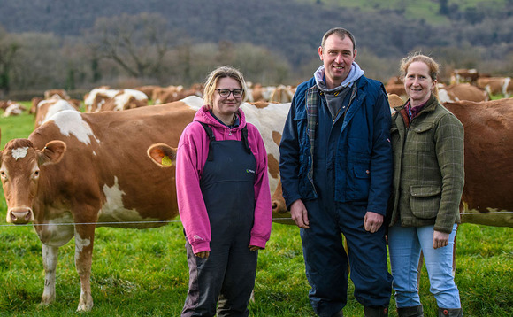 Parlour and shed investment underway for family-run Guernsey herd