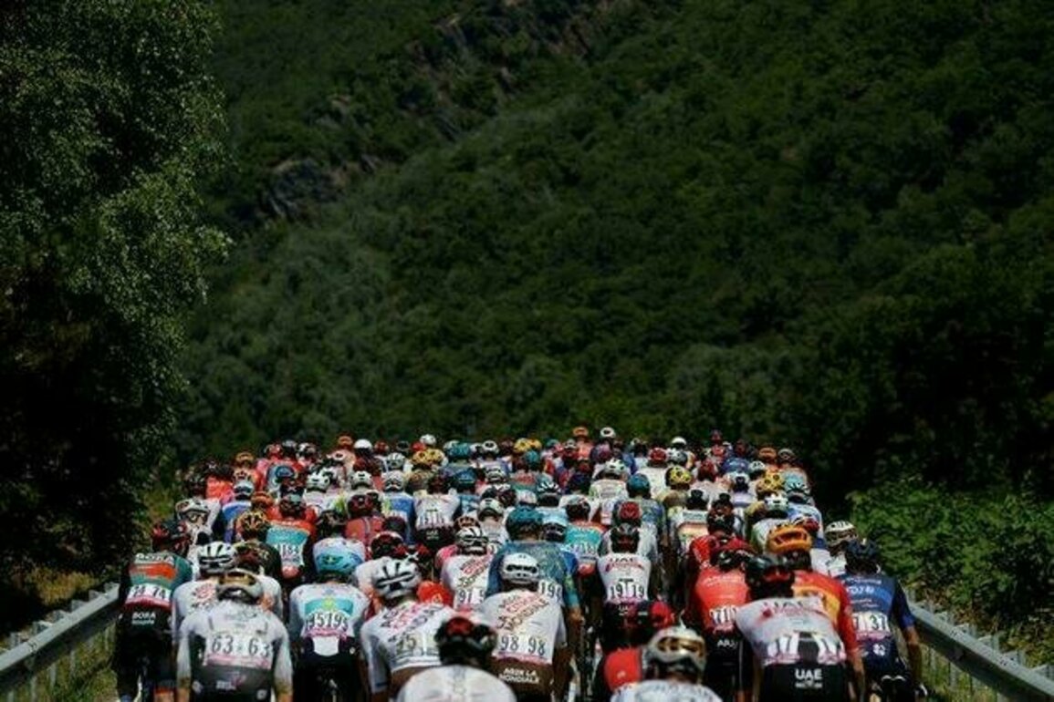 Tim Merlier uses late sprint to win Stage 9 at Tour de France